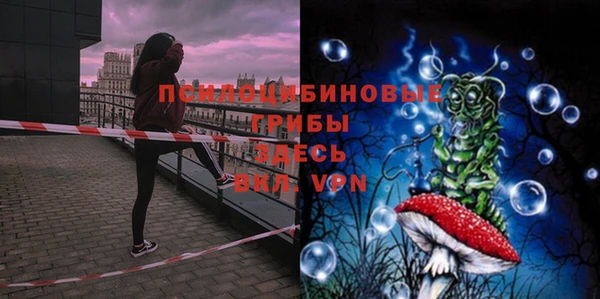 спиды Лабытнанги