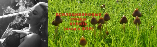 наркотики Лагань