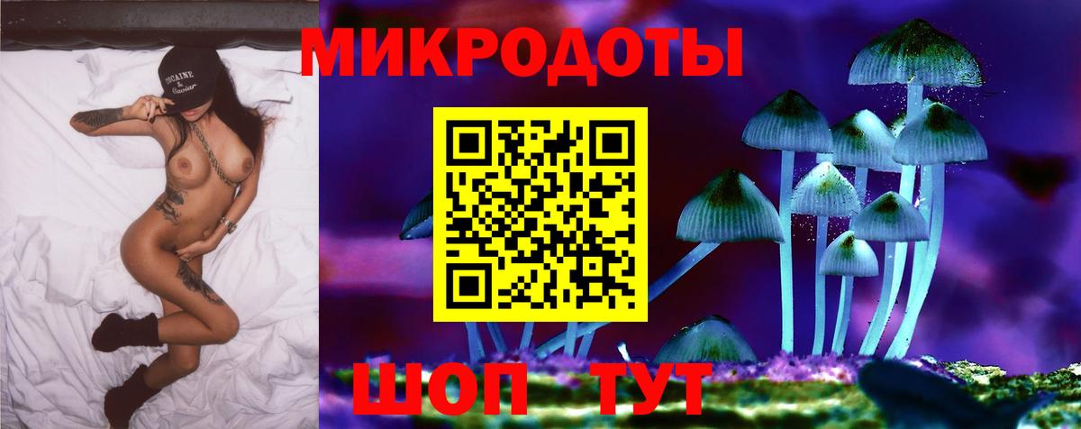 что такое наркотик  Вход с VPN  Псилоцибиновые грибы Psilocybine cubensis  Мурино  Псилоцибиновые грибы Psilocybine cubensis 