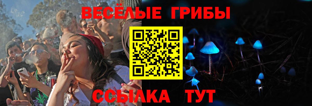 Псилоцибиновые грибы Cubensis  Галлюциногенные грибы GOLDEN TEACHER  Мурино 